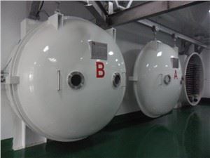 Muab ob npaug rau Barrel Spiral Freezer Rau Txiv Hmab Txiv Ntoo