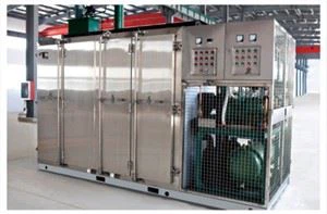 Industrial Quick Freezing Qhov Lub Freezer