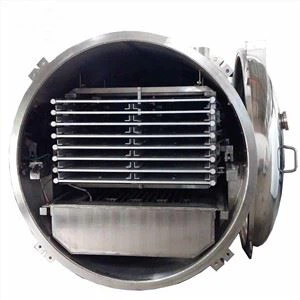Freeze Dryer Lyophilizer Hauv Kev Ua Khoom Noj