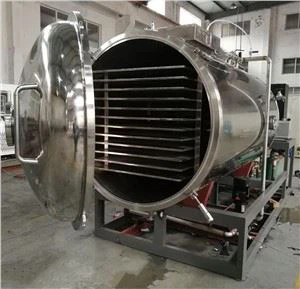 Nqus Freeze Dryer Rau Cov Khoom Siv Kho Mob