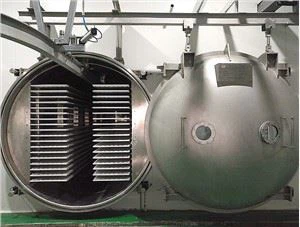 Advanced Tech Zaub Fruits Freeze Dryer