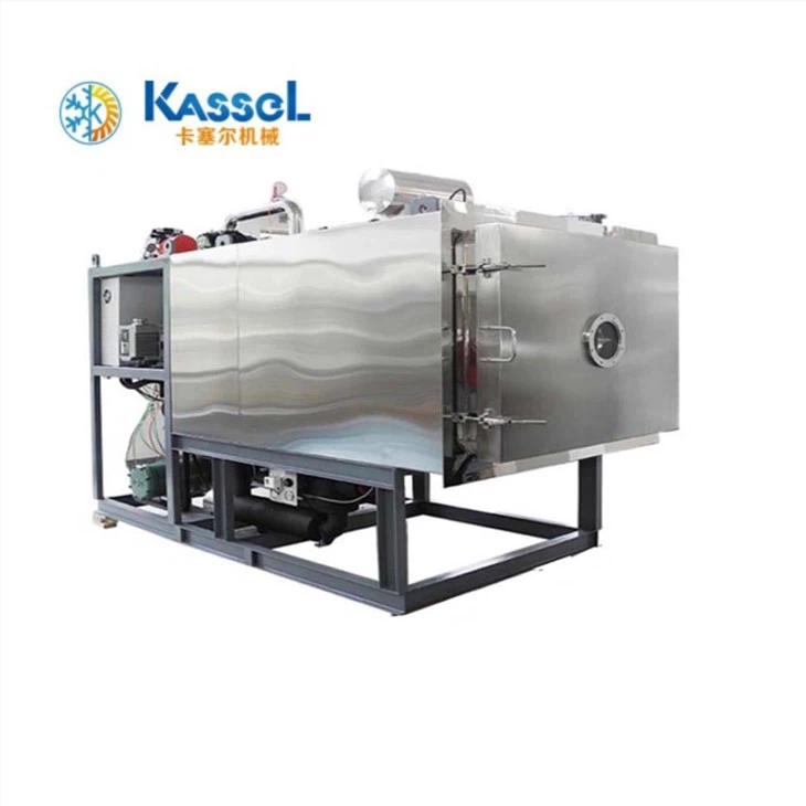 Nqus Freeze Dryer Ntawm Jujube